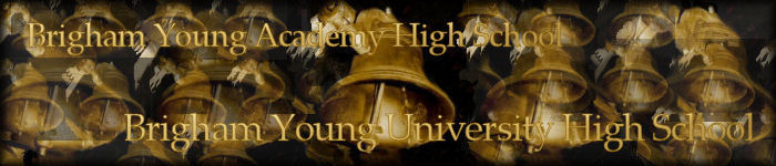 Brigham Young High Banner No. 23 - 150