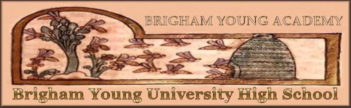 Brigham Young High Banner No. 21