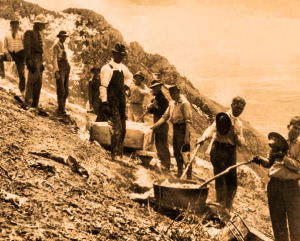 1908 - Hot lime was carried up the mountain